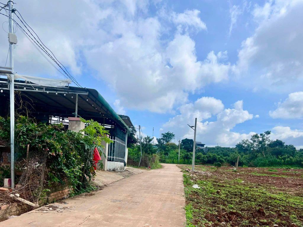 Bán Đất Ven Đà Lạt 466m² Thổ Cư 100m² – View Thoáng, Thế Đất Đẹp, Giá Chỉ 890 Triệu