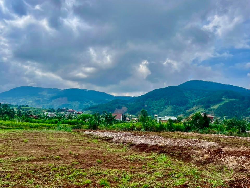 Bán Đất Ven Đà Lạt 466m² Thổ Cư 100m² – View Thoáng, Thế Đất Đẹp, Giá Chỉ 890 Triệu