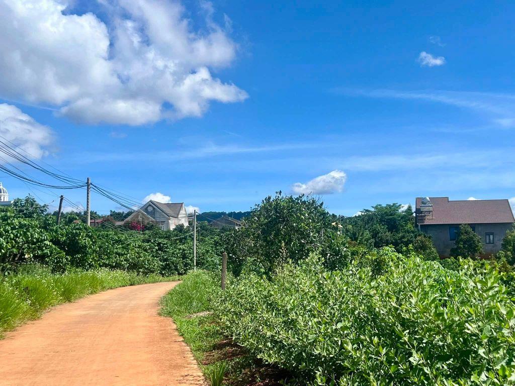 Bán Đất Ven Đà Lạt 872m² Thổ Cư 100m² – View Đồi Núi Đẹp, Giá Chỉ 2,9 Triệu/m²