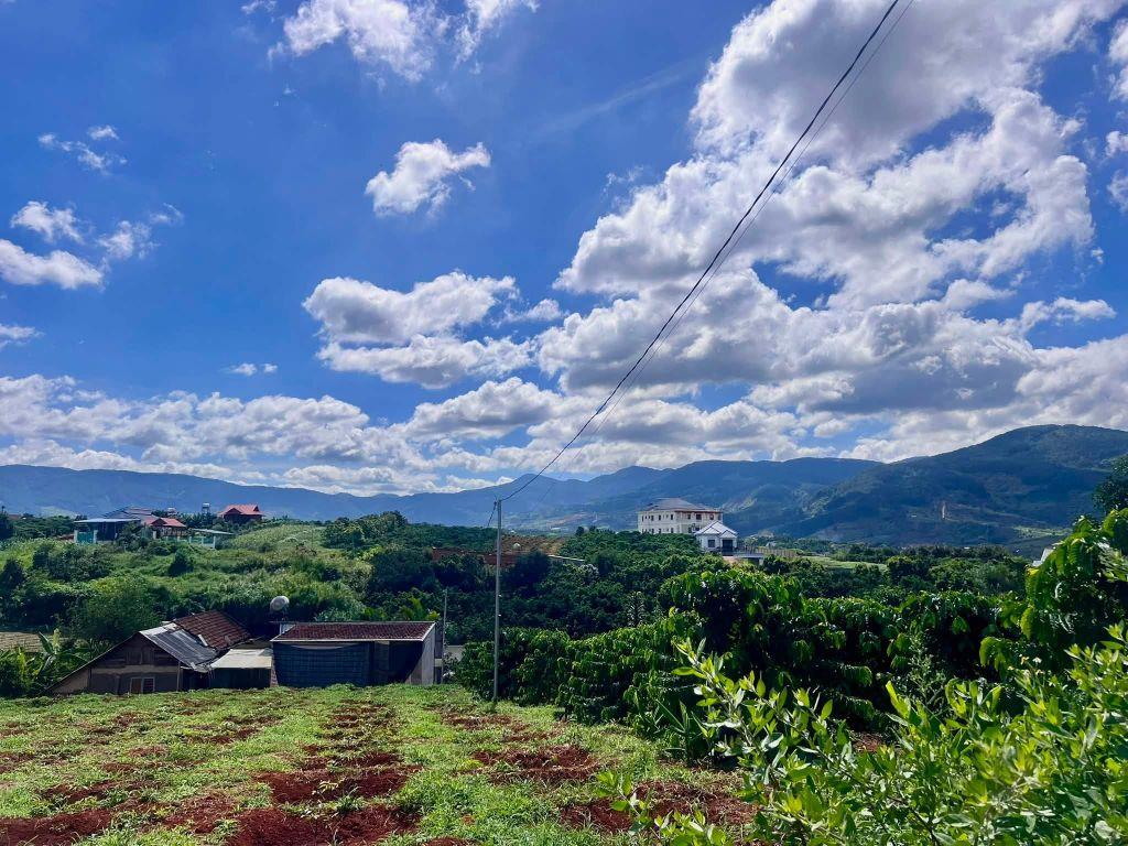 Bán Đất Ven Đà Lạt 872m² Thổ Cư 100m² – View Đồi Núi Đẹp, Giá Chỉ 2,9 Triệu/m²