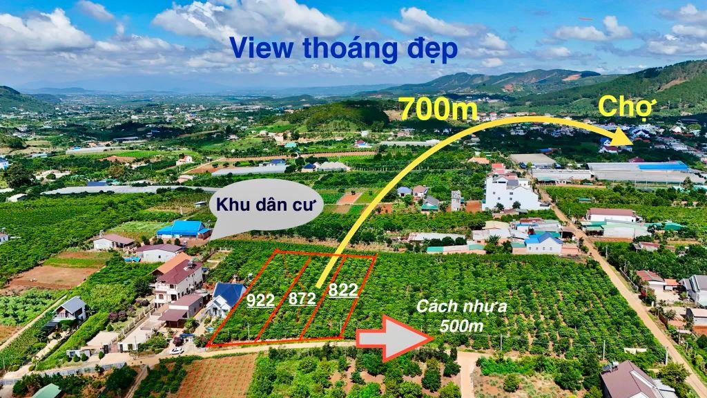 Bán Đất Ven Đà Lạt 872m² Thổ Cư 100m² – View Đồi Núi Đẹp, Giá Chỉ 2,9 Triệu/m²