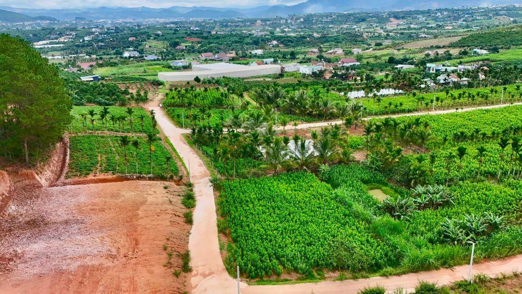 Bán Đất Ven Đà Lạt 309m² Thổ Cư 209m² – Hai Mặt Tiền Giữa Thung Lũng Thông Xanh, Giá Chỉ 1 Tỷ 150
