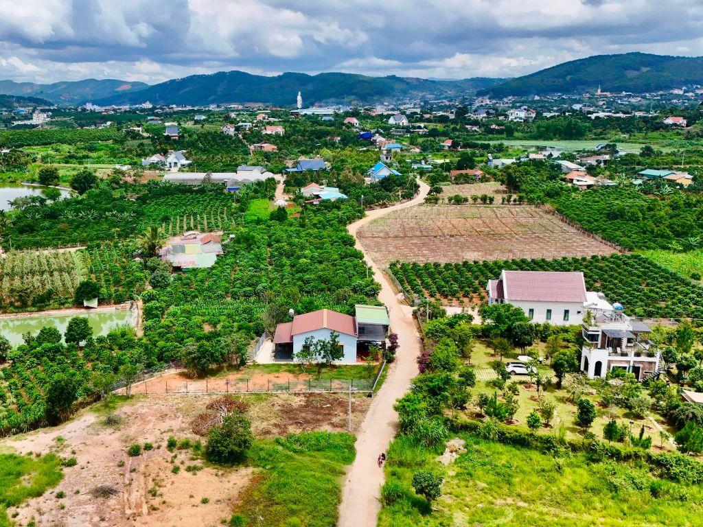 Bán Đất Ven Đà Lạt 558m² Thổ Cư 209m² – Đất Nở Hậu, View Đồi Núi, Lý Tưởng Xây Nhà Vườn Nghỉ Dưỡng