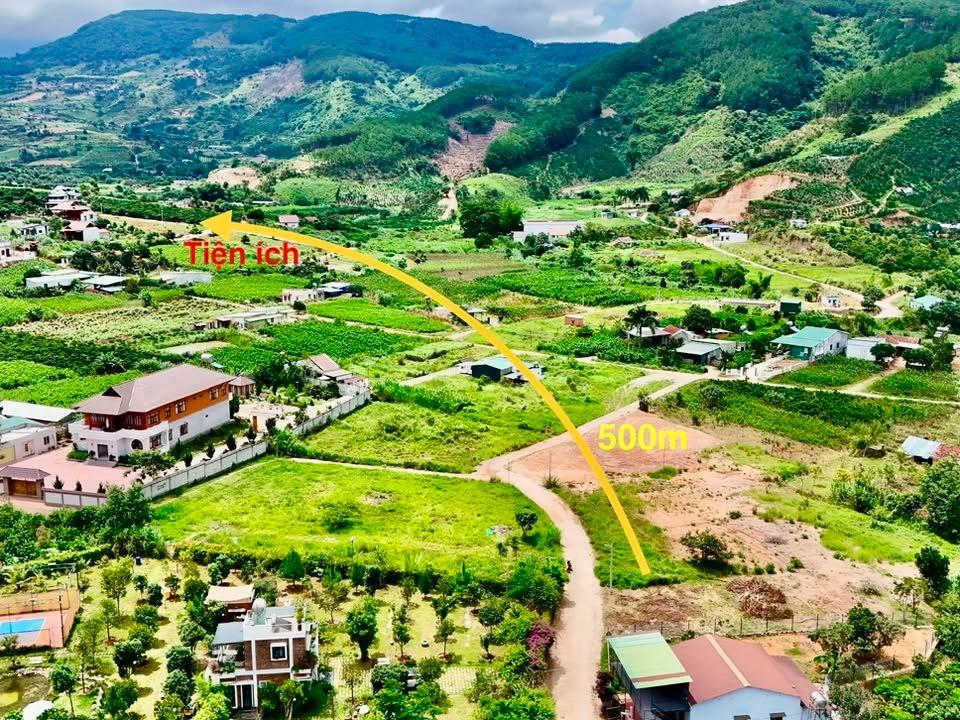 Bán Đất Ven Đà Lạt 558m² Thổ Cư 209m² – Đất Nở Hậu, View Đồi Núi, Lý Tưởng Xây Nhà Vườn Nghỉ Dưỡng