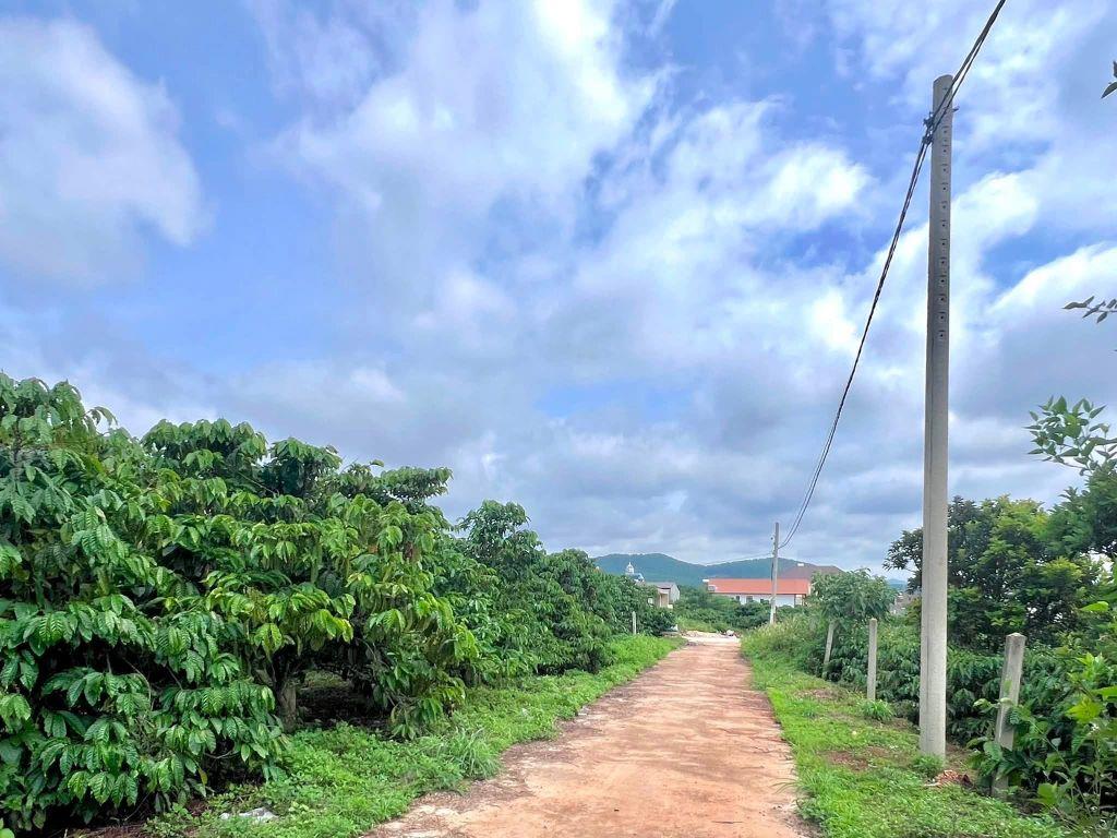 Cần Bán Đất Ven Đà Lạt 308m² Có 268m² Thổ Cư View Núi Đẹp Mặt Tiền 10m