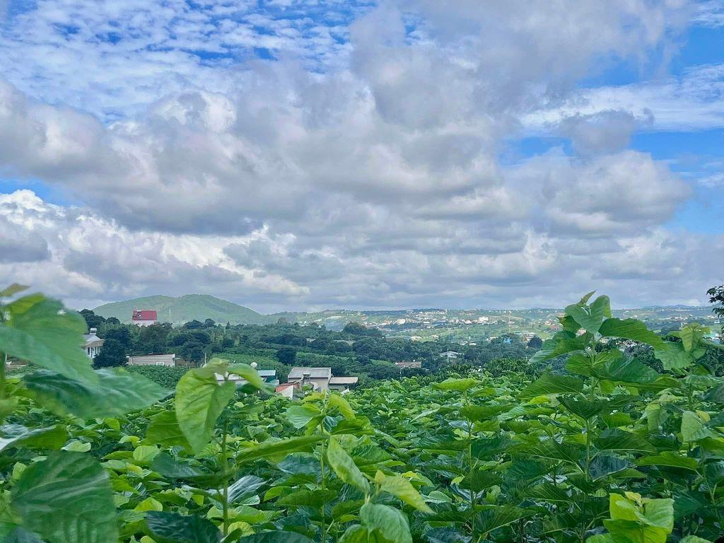 Cần Bán Đất Ven Đà Lạt 3.677m² Có 200m² Thổ Cư View Đẹp, Phù Hợp Nhà Vườn Nghỉ Dưỡng