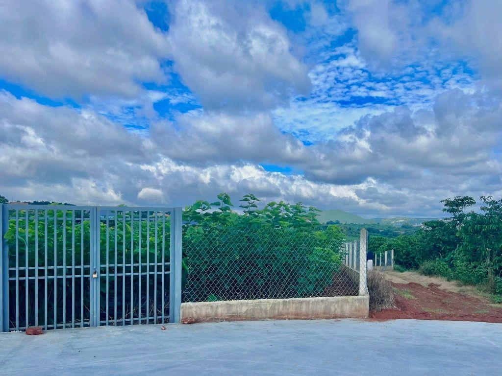 Cần Bán Đất Ven Đà Lạt 3.677m² Có 200m² Thổ Cư View Đẹp, Phù Hợp Nhà Vườn Nghỉ Dưỡng