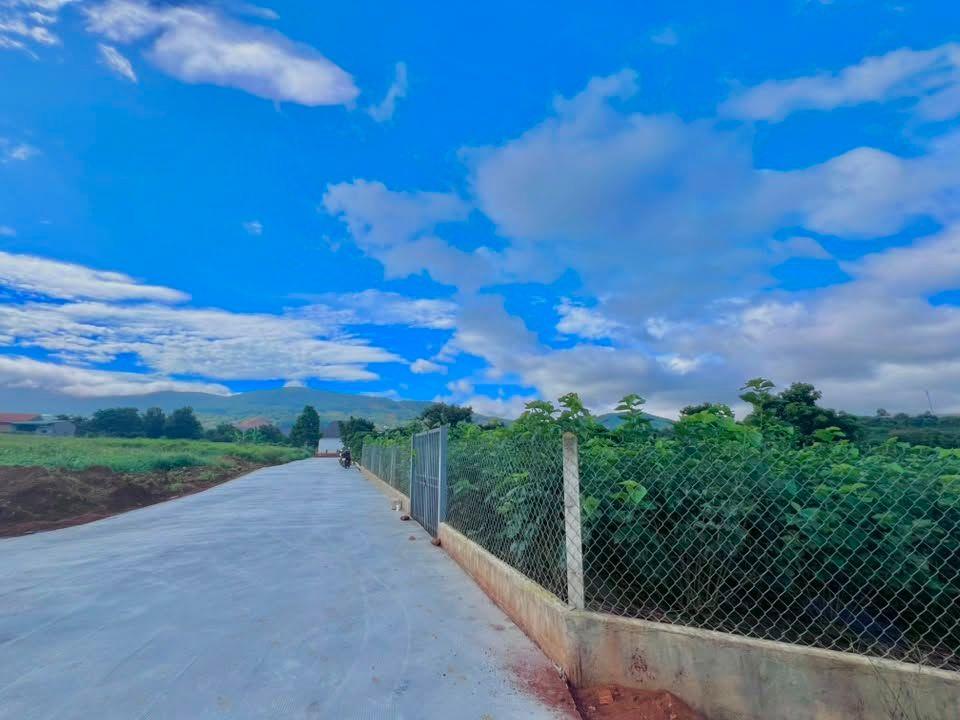 Cần Bán Đất Ven Đà Lạt 3.677m² Có 200m² Thổ Cư View Đẹp, Phù Hợp Nhà Vườn Nghỉ Dưỡng