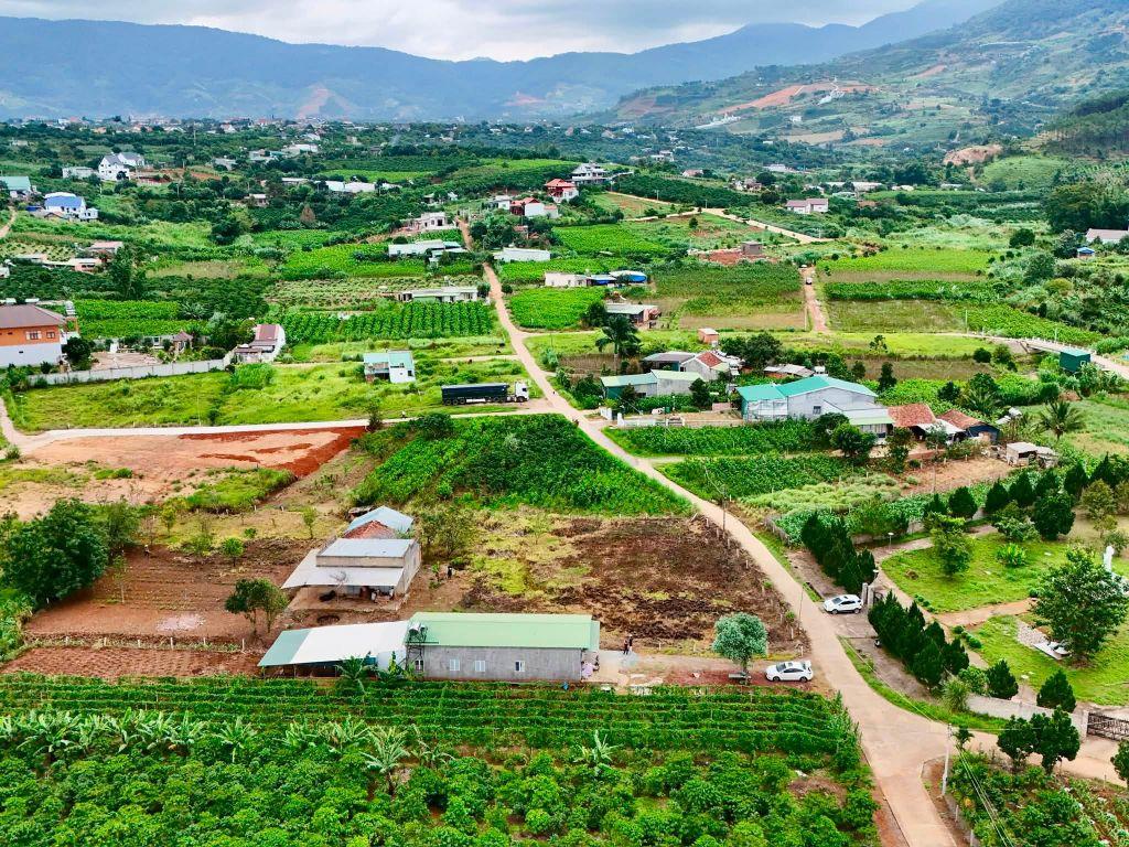 Cần Bán Đất Ven Đà Lạt 3.276m² Có 400m² Thổ Cư Mặt Tiền 41m, Phù Hợp Nhà Vườn