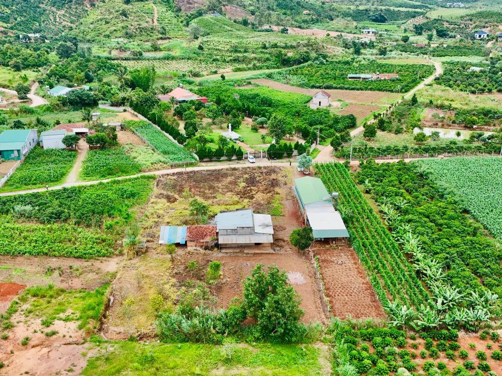 Cần Bán Đất Ven Đà Lạt 3.276m² Có 400m² Thổ Cư Mặt Tiền 41m, Phù Hợp Nhà Vườn