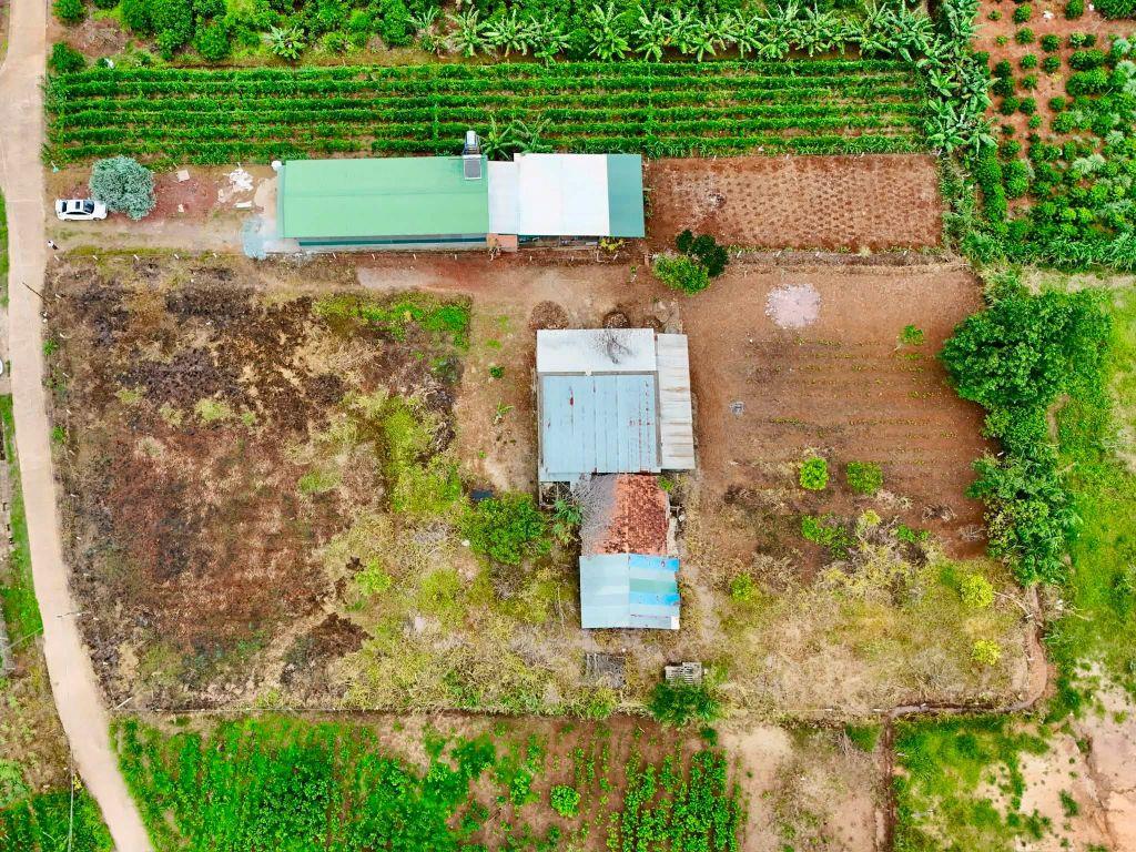 Cần Bán Đất Ven Đà Lạt 3.276m² Có 400m² Thổ Cư Mặt Tiền 41m, Phù Hợp Nhà Vườn