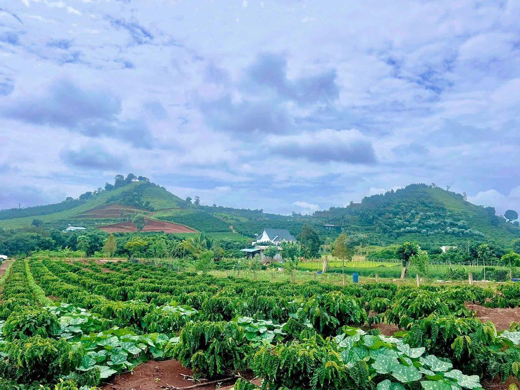 Cần Bán Đất Ven Đà Lạt 1.001m² Có 200m² Thổ Cư View Núi Đẹp Tại Nam Hà