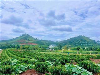 Cần Bán Đất Ven Đà Lạt 1.001m² Có 200m² Thổ Cư View Núi Đẹp Tại Nam Hà