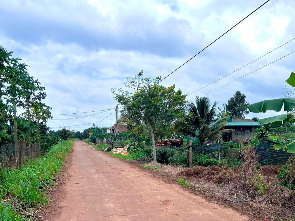Cần Bán Đất Ven Đà Lạt 1.001m² Có 200m² Thổ Cư View Núi Đẹp Tại Nam Hà