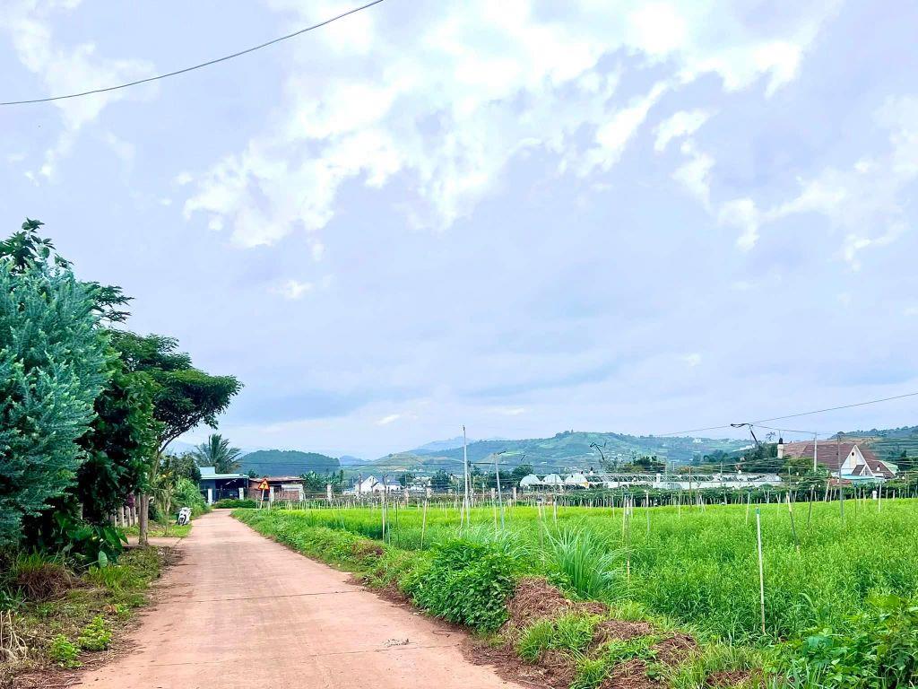 Cần Bán Đất Ven Đà Lạt 1.001m² Có 200m² Thổ Cư View Núi Đẹp Tại Nam Hà