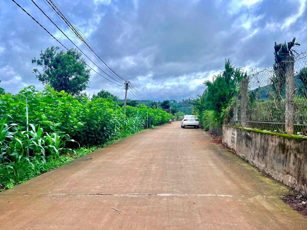 Cần Bán Đất Ven Đà Lạt 520m² Có 250m² Thổ Cư Mặt Tiền 14m, Cách Đường Nhựa Chỉ Vài Bước