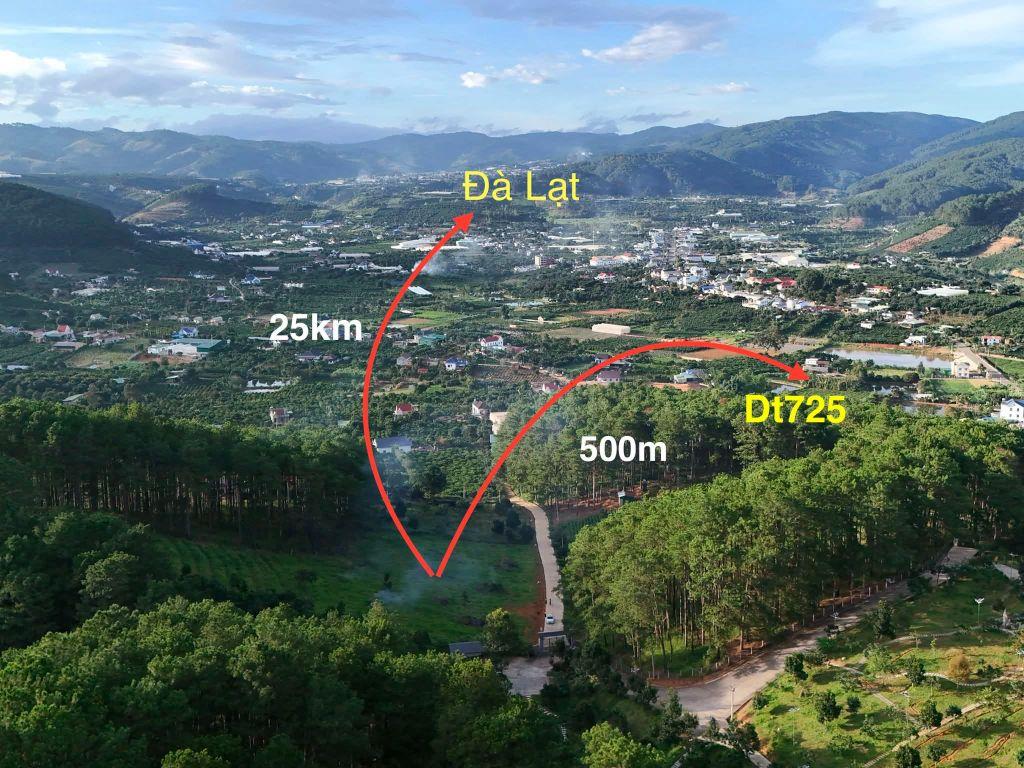 Cần Bán Đất 1.000m² Sát Rừng Thông, Không Gian Nghỉ Dưỡng Hiếm Có Gần Đà Lạt