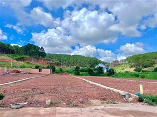 Cần Bán Đất 542m² Có 200m² Thổ Cư Giữa Đồi Thông, Lý Tưởng Xây Nhà Vườn