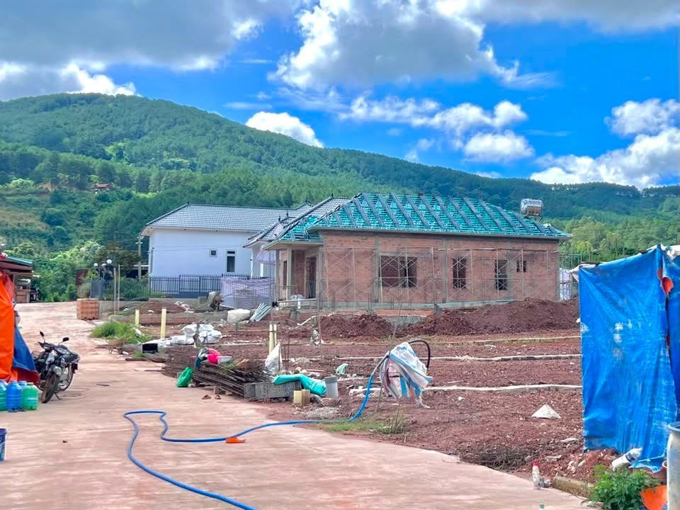 Cần Bán Đất 542m² Có 200m² Thổ Cư Giữa Đồi Thông, Lý Tưởng Xây Nhà Vườn