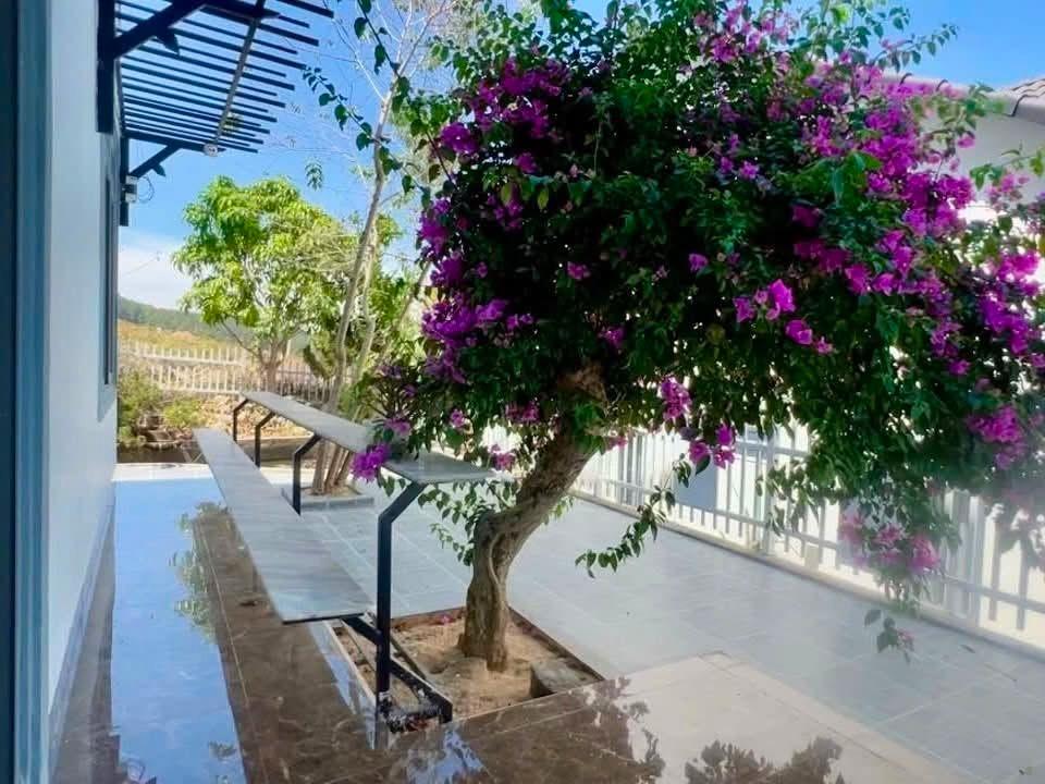 Cần Bán Nhà Vườn 503m² Có 100m² Thổ Cư, Sân Vườn Rộng, Giá Chỉ 2,6 Tỷ