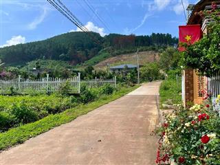 Cần Bán Đất Khu Nghỉ Dưỡng Gia Lâm 501m², Địa Thế Đẹp, Thông Xanh Bao Quanh