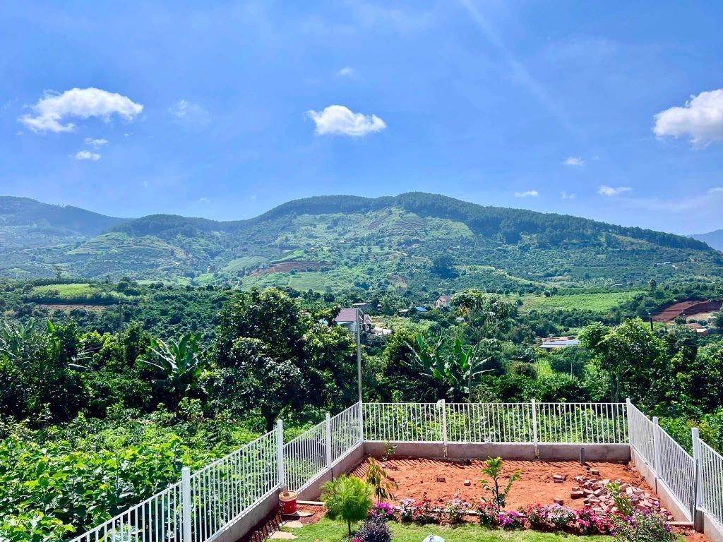 Cần Bán Nhà Vườn Nam Ban 261m², Full Nội Thất, Sân Vườn Rộng, Nhà Mới Đẹp