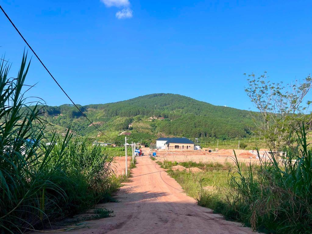 Cần Bán Đất 309m² Có 209m² Thổ Cư, 2 Mặt Tiền Giữa Thung Lũng Thông Xanh