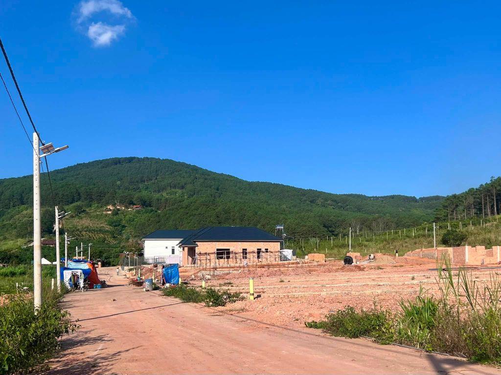 Cần Bán Đất 309m² Có 209m² Thổ Cư, 2 Mặt Tiền Giữa Thung Lũng Thông Xanh