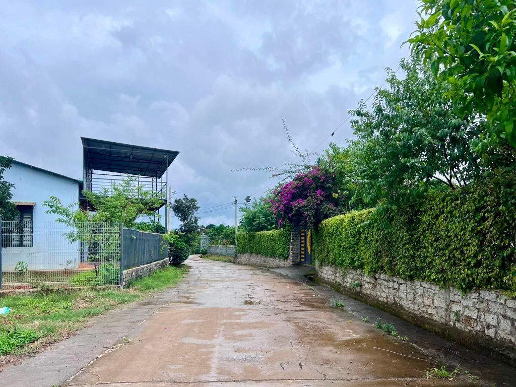 Cần Bán Đất 413m² Có 221m² Thổ Cư, Nở Hậu 13,6m, View Đồi Núi Gần Đường Nhựa
