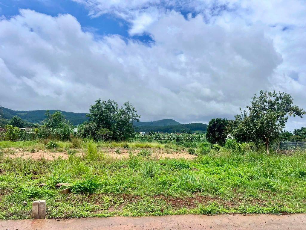 Cần Bán Đất 413m² Có 221m² Thổ Cư, Nở Hậu 13,6m, View Đồi Núi Gần Đường Nhựa