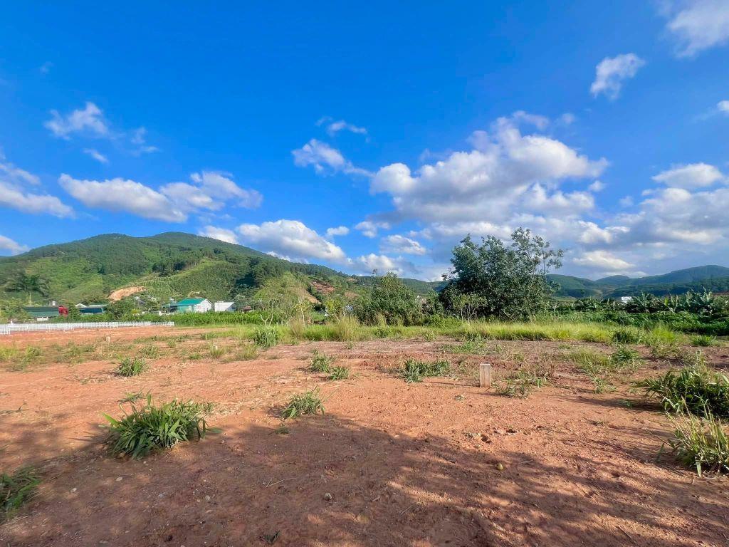 Cần Bán Đất 413m² Có 221m² Thổ Cư, Nở Hậu 13,6m, Gần Đường Nhựa