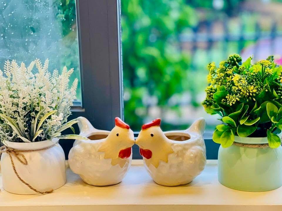 Cần Bán Nhà 203m² Sổ Hồng Riêng, 2 Phòng Ngủ, Không Gian Xanh Gần Đà Lạt