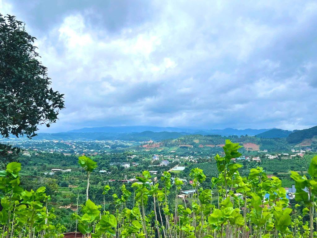 Cần Bán Đất Nam Ban 5.539m², 200m² Thổ Cư, View Toàn Cảnh Từ Trên Cao