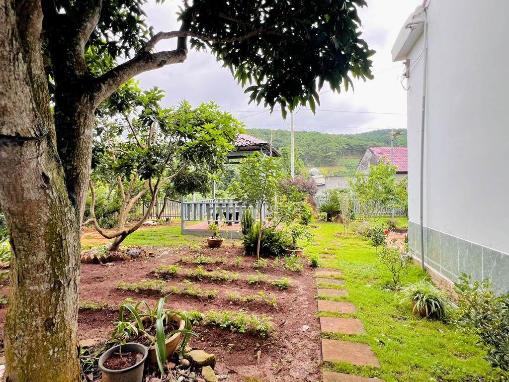 Cần Bán Nhà Đất 987m² Có Sẵn Nhà Cấp 4, Giáp Đồi Thông, Giá 4,7 Tỷ