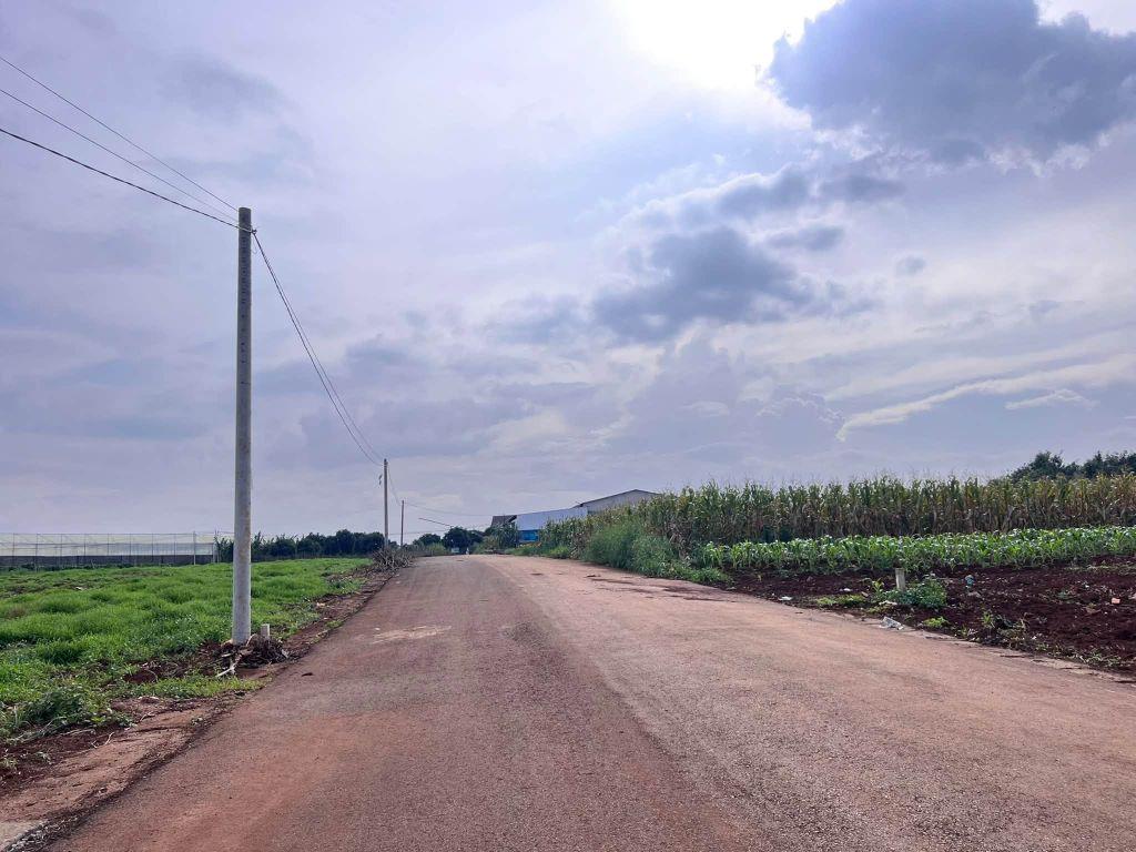 Cần Bán Đất Đông Thanh 350m², Mặt Đường Nhựa 8m, View Nam Ban, Đất Bằng Phẳng