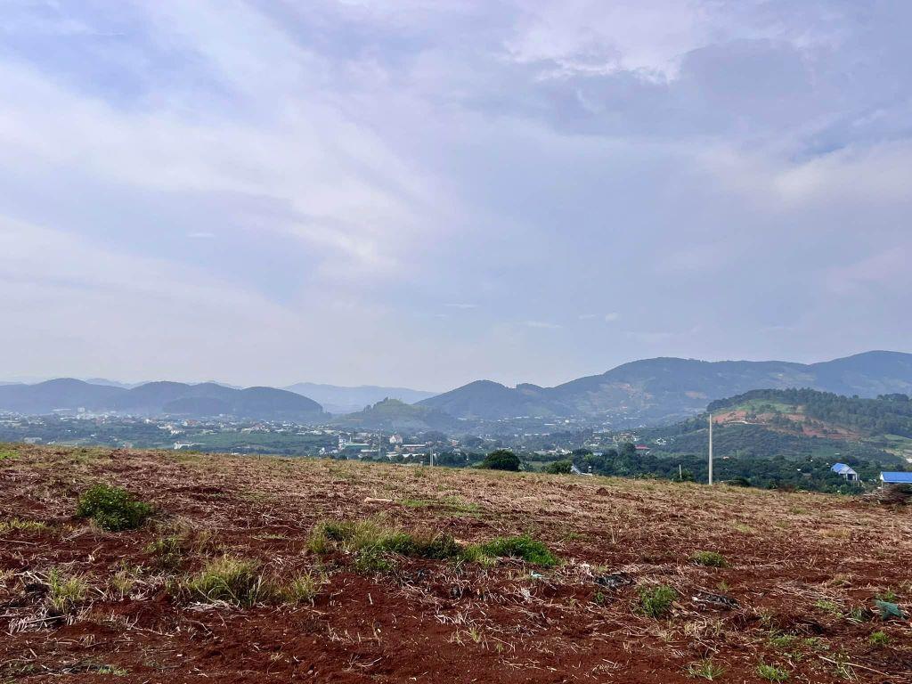 Cần Bán Đất Đông Thanh 350m², Mặt Đường Nhựa 8m, View Nam Ban, Đất Bằng Phẳng