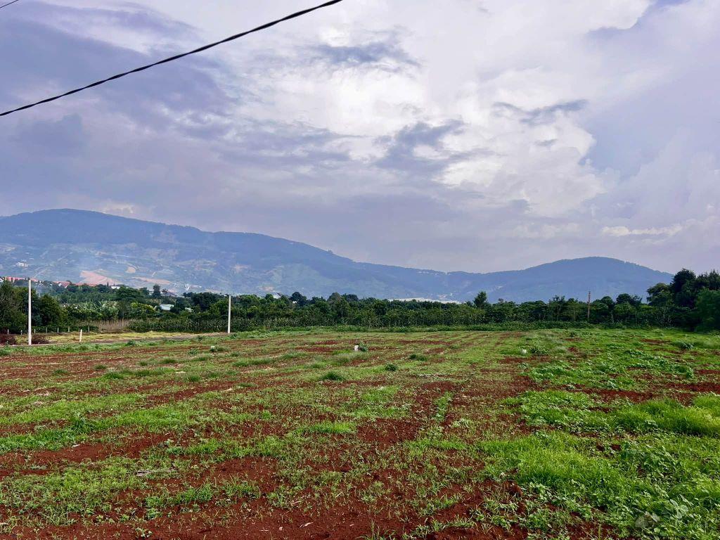 Cần Bán Đất Đông Thanh 350m², Mặt Đường Nhựa 8m, View Nam Ban, Đất Bằng Phẳng