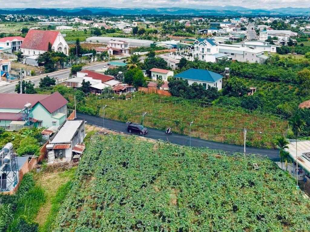 Cần Bán Đất Tân Hội 225m², 75m² Đất Xây Dựng, Cách DT724 Chỉ 25m