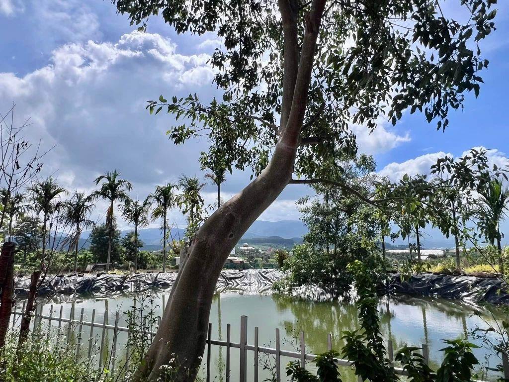 Cần Bán Đất Nam Hà 2.298m², 350m² Thổ Cư, Tặng Nhà, View Toàn Cảnh