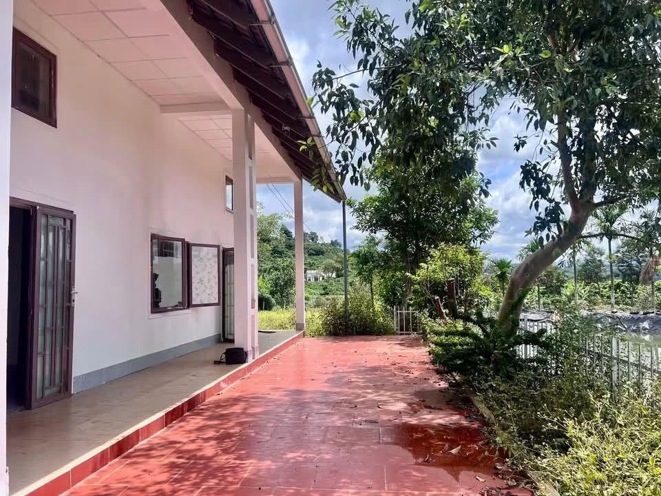 Cần Bán Đất Nam Hà 2.298m², 350m² Thổ Cư, Tặng Nhà, View Toàn Cảnh