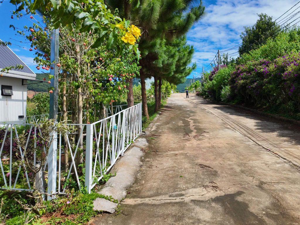 Cần Bán Đất 2 Mặt Tiền 236m² Trong Khu Nghỉ Dưỡng, Bao Quanh Bởi Thông Xanh