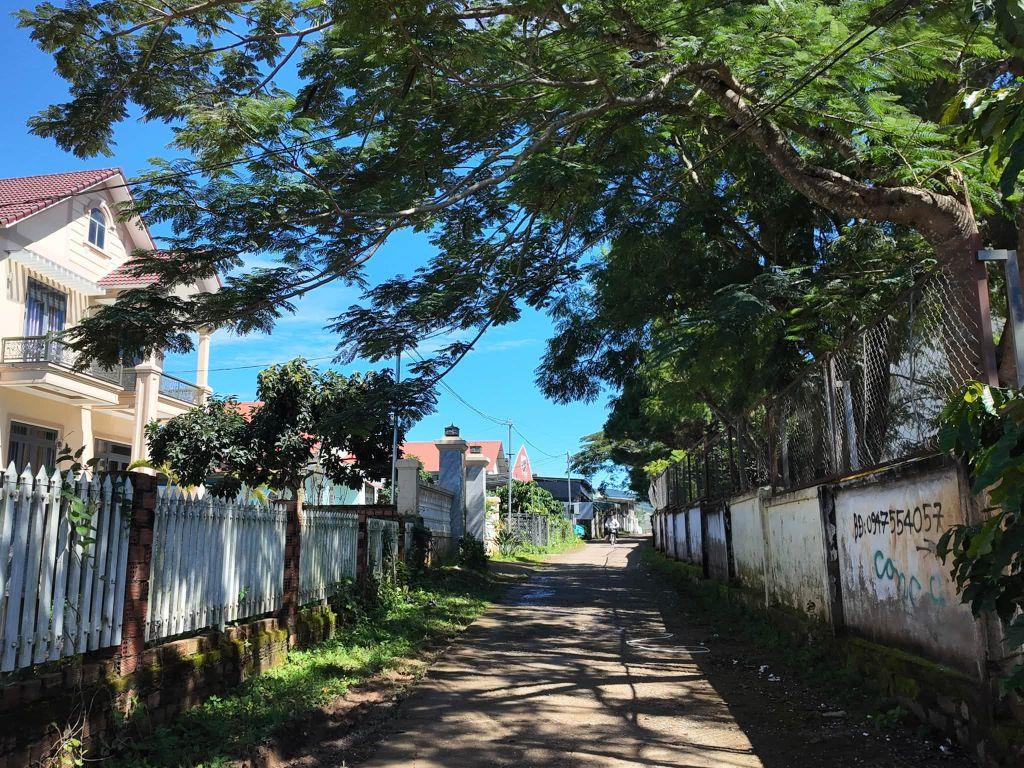 Cần Bán Đất Phường Cam Ly Đà Lạt 204m², Full Đất Xây Dựng