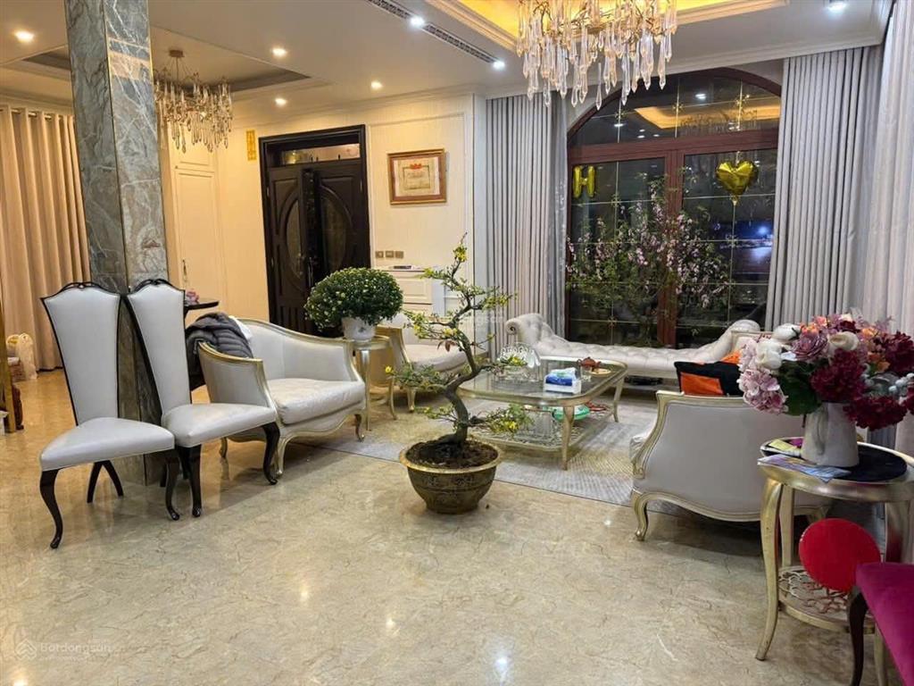 Cho thuê tầng 1 biệt thự đơn lập hải âu gần vincom ocean park 1