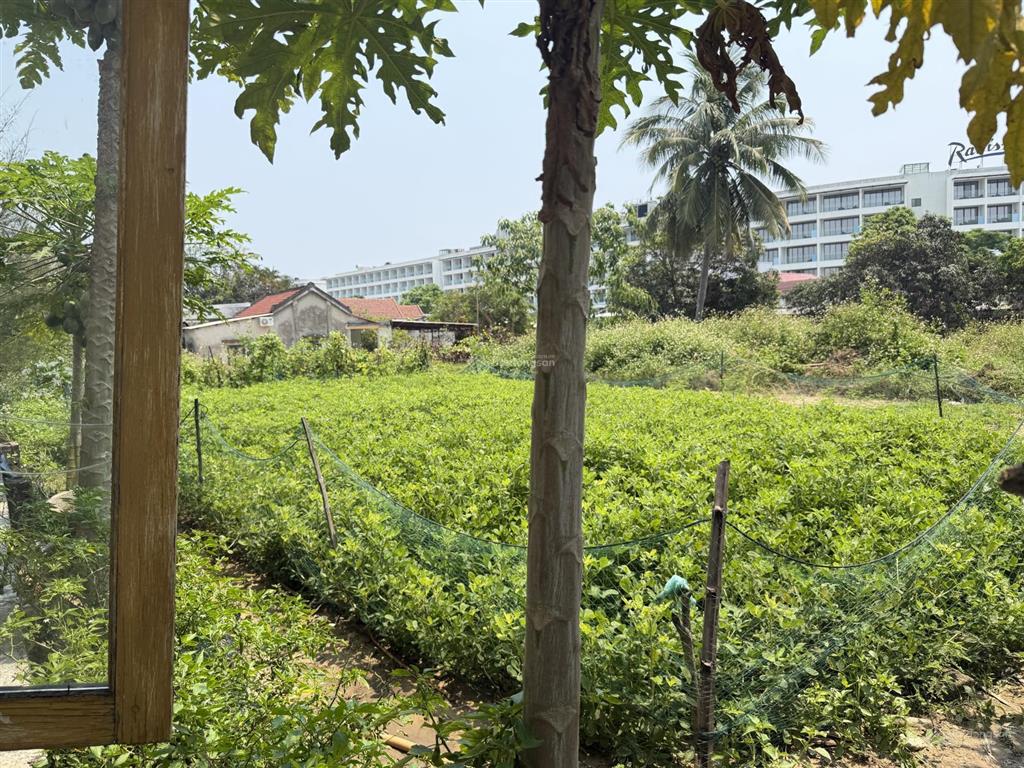 Hàng ngộp bank bán nhanh không giữ lâu trục hôị an  đà nẫng diện tích lớn giá rẻ mua là lời