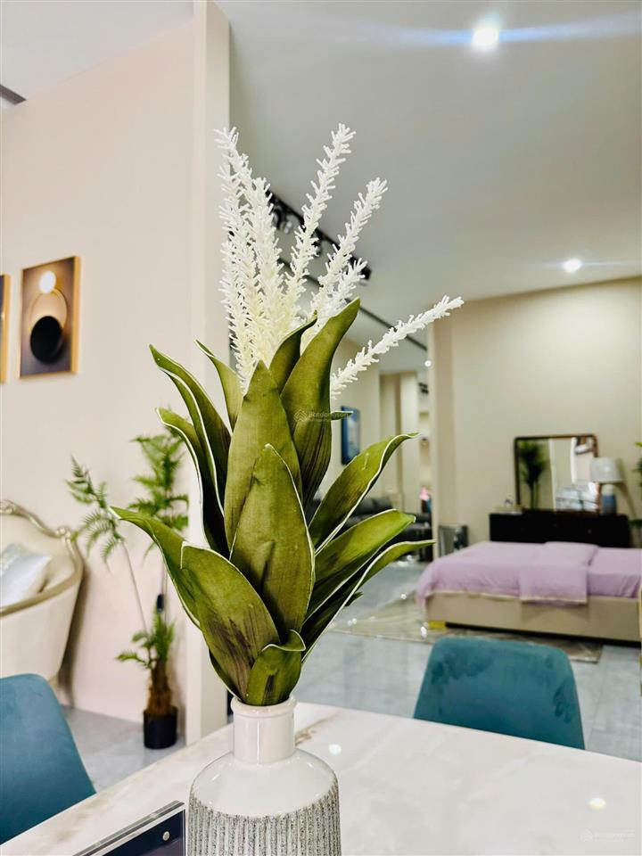 Cho thuê nhà mặt tiền 25m đường cộng hòa quận tân bình