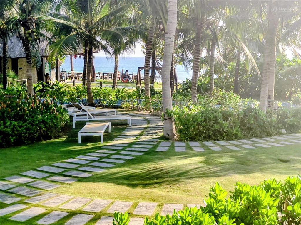 Căn hộ khách sạn tại the arena bãi dài cam ranh  850k/đêm  tiêu chuẩn resort 4*