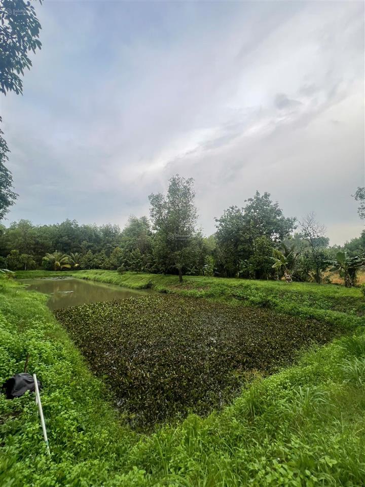 Chính chủ cần bán đất vườn ~ 1,4ha