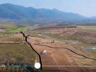 Bán 6,8 ha đất nông nghiệp mang yang, gia lai