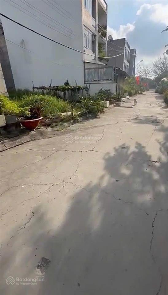 Bán lô đất 8x15m, xã phong phú ( bình hưng mới ) sát ql50 chỉ 80m, ngay chợ phú lạc