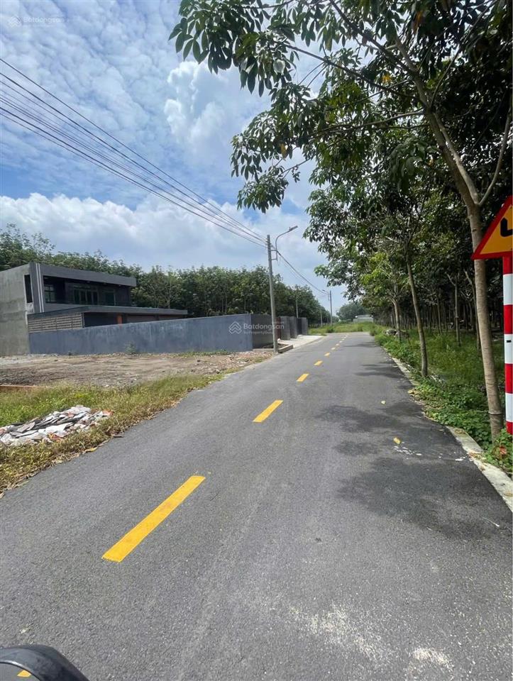 Đất mặt tiền đường nhựa  rẻ hơn thị trường, chỉ 175 triệu!       shr
